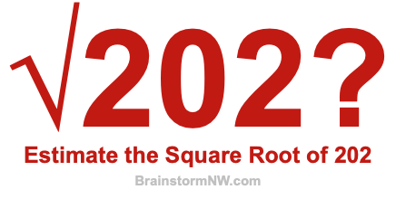 How to Calculate the Square Root of 202